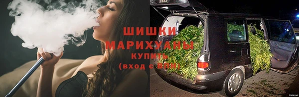 кокс Белокуриха