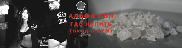 кокс Белокуриха