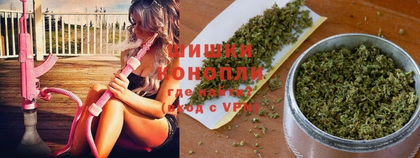 кокс Белокуриха